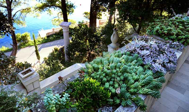 apartments Segedin Korcula